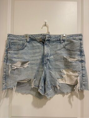 Size 18 American Eagle Distressed Denim Shorts